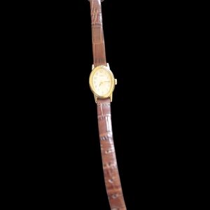 Timex Cavatina Oval Leather Watch